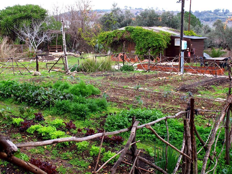 Yarok Az - Ecolodge Farm Ilaniya ภายนอก รูปภาพ